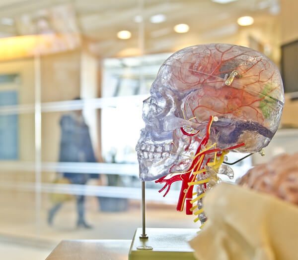 Hematology Department